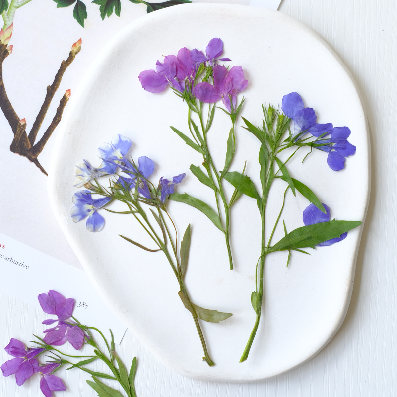 6 Buah/8-13Cm, Bunga Lobelia E - Resin Art Bookmark ulasan dan harga